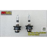 ราคา Hexar Xenon D2R หลอดซีนอน คุณภาพดี ขั้ว D2R (6969041415)