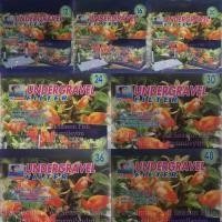 ราคา กรองพื้น Undergravel Filter (กล่องน้ำเงิน-ม่วง) ขนาดตู้ 12 นิ้ว ถึง 48 นิ้ว RY (4851379679)