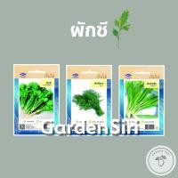 ราคา เมล็ดพันธุ์ผัก(ซอง) ผักชี ผักชีลาว ผักชีฝรั่ง ตราเครื่องบิน เจียไต๋ (8474722539)