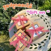 ราคา ชุดปลูกดอกไม้ "gift set" กล่องคราฟ ของขวัญปัจฉิม ของขวัญรับปริญา ของชำร่วย ของขวัญ จัดทำ 1-2 วัน୨ৎ (29774374872)