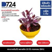 ราคา กระถางต้นไม้ กระถางพลาสติก กระถาง 10 นิ้ว กระถางต้นไม้ 10" กระถางทรงกลม (25214471318)