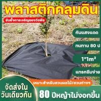ราคา 99ปีหญ้าไม่งอกขึ้น（คลุมวัชพืช พลาสติกคลุมดิน พลาสติกคลุมวัชพืช พลาสติกคลุมหญ้า ผ้าคลุมวัชพืช พลาสติกกันวัชพืช） (22452845070)