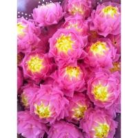 ราคา เหรียญโปรยทานงานบวชนาคตัวเปล่าดอกบัวสวรรค์ชมพู30ดอก (23387572382)