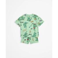 ราคา Turtles ชุดเซตนินจาเต่าเขียว (27075308432)