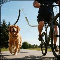 ราคา [เกลียดชัง] จักรยานสายจูงสุนัขขี่กันกระแทกหนักสัตว์เลี้ยงสุนัขจักรยานจูงสิ่งที่แนบมา (50607686936)