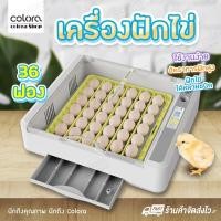 ราคา เครื่องฟักไข่อัตโนมัติ 36 ฟอง ตู้ฟักไข่ ตู้อบไข่ ฟักไข่ได้หลายขนาด ไข่ไก่ ไข่ห่าน ไข่นกกระทา (9014511019)