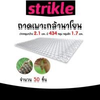ราคา ถาดเพาะกล้านาโยน 434 หลุม แพ็ค 50 ชิ้น ถาดเพาะนาโยน เพาะกล้าข้าว ถาดนาโยน ถาดเพาะกล้า ถาดเพาะต้นข้าว (29952016898)