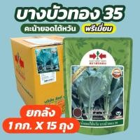 ราคา คะน้ายอดไต้หวัน บางบัวทอง 35 พรีเมี่ยม 1 กิโลกรัม ศรแดง (ยกลัง 15 ถุง) (44122628294)