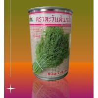 ราคา เมล็ดผักชีลาวหอมกาสะลอง ตราตะวันต้นกล้า ขนาด 30 กรัม และขนาด 500 กรัม แตกกอดี (47601959412)