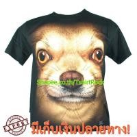 ราคา เสื้อลาย หน้าสุนัข ชิวาว่า chihuahua dog เต็มหน้า เสื้อยืด สกรีนหน้าหลัง (1361887687)