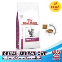 ราคา [EXP04/2027] Royal canin VET Renal Select cat 2 KG อาหารสำหรับแมวโรคไต ขนาด 2 กก. (2766353330)