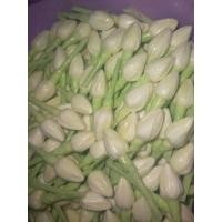 ราคา ดอกมะลิทิชชู่หอม ขนาดเหรียญ 10บาท (4969494485)