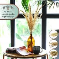 ราคา Dried Crops ช่อธัญพืชอบแห้ง | อบ แห้ง ธัญพืช ต้นไม้ ดอกไม้ ใบไม้ ไม้เลื้อย ไม้ประดับ กิ่ง ก้าน กระถาง แจกัน ตกแต่ง บ้าน (8365070925)