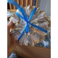 ราคา ปลากระดี่วง ปลากระดี่ตากแห้ง ตากแห้งสนิท 100% ไม่มีกลิ่นเหม็น (29673214754)