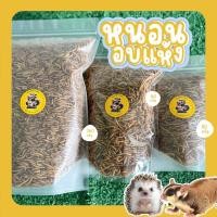 ราคา หนอนนก อบแห้ง คัดคุณภาพดี(ไม่มีเศษผง)/สำหรับ ชูการ์ นก เม่นแคระ หนูแฮมเตอร์ เต่า และสัตว์เลี้ยงกินแมลงทุกชนิด️ (21990193744)
