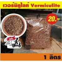ราคา เวอร์มิคูไลท์ (vermiculite) 1 ลิตร ปรับปรุงดิน (7419975847)