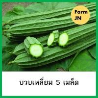 ราคา เมล็ดผัก เมล็ดบวบ บวบ เมล็ดผักสวนครัว เมล็ดผักกินผล ผักกินผล 10แถม1 (15997046915)