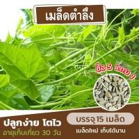 ราคา เมล็ดตำลึง ยอดตำลึง ผักแคบ แบ่งขาย 15 เมล็ด (ซื้อ 5 แถม 1) คละชนิดได้ (22076859101)
