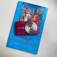 ราคา Sony Cyber Shot DSC-W730