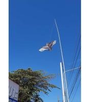 ราคา ว่าวนกอินทรีย์ว่าวนกเหยี่ยว ว่าวไล่นกกันนกทำลายผลผลิตการเกษตร ว่าวไล่นก ว่าวตกแต่งสวน ขนาดใหญ่ 150 x 63 cm. พร้อมส่ง (6158898370)