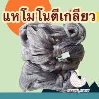 ราคา แหโมโนตีเกลียวติดลูก แหเอ็นเกลียว (24480942523)