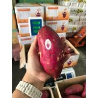 ราคา มันหวาน สายพันธ์ญี่ปุ่น เนื้อเหลือง( ตรา SP ลังละ 5 กิโลกรัม) มันเนื้อเหลือง ปลูกที่เวียดนาม (2076198797)