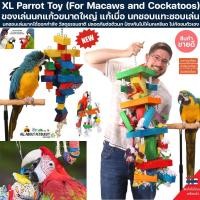 ราคา ของเล่น นกแก้ว ขนาดใหญ่ แก้เบื่อ นกชอบแทะชอบเล่น XL Parrot Toy For Macaws and Cockatoos มาคอว์ macaw ของเล่นนกแก้ว นก (27733917056)