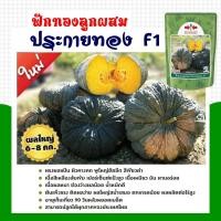 ราคา เมล็ดฟักทอง ประกายทอง ตราศรแดง ขนาด100กรัม East-West Seed เมล็ดพันธุ์ฟักทอง เมล็ดฟักทองประกายทอง เมล็ดพันธุ์ผัก ศรแดง (13012144594)