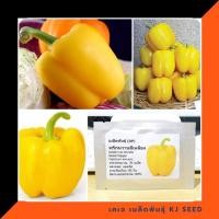 ราคา พริกหวานแคลิฟอร์เนียสีเหลือง - Yellow Sweet Pepper 30 เมล็ด คุณภาพดี ราคาถูก ของแท้ 100% (9266993911)