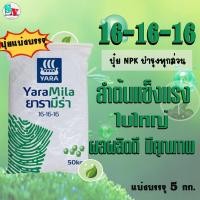 ราคา 16-16-16​​ ยารา มีร่า แบ่งบรรจุ 5 Kg​. NPKครบ บำรุงใบ เน้นบำรุงลำต้น ​เพิ่มราก​ เร่งดอก เพิ่มหวาน​ ขยายผล​ เพิ่มน้ำหนัก​ (25571027803)