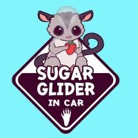 ราคา ป้ายติดรถยนต์ DIC62 จุ๊บติดกระจก Sugar glider ป้ายติดกระจก ป้าย สติ๊กเกอร์ (4212862813)