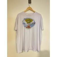 ราคา เสื้อวงมือสอง เสื้อวง GREEN DAY size 2XL มือ2 (47054651528)