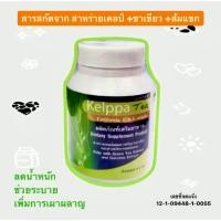 ราคา **แท้ 100%** Kelppa Tea(เคลป์ปา ที)120 แคปซูล ลดน้ำหนัก เพิ่มการเผาผลาญ ช่วยขับถ่าย สาหร่ายเคลป์ทะเลน้ำลึก จากแคลิฟอเนีย (19844666260)