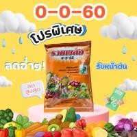 ราคา 0-0-60 ปุ๋ยเกร็ด เพิ่มแป้ง (43857304454)