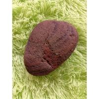 ราคา ดาวตก ควอนตั้ม 3.*** (44506814428)