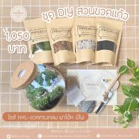 ราคา ชุดจัดสวนขวดแก้ว ไซส์ XXL -ขวดทรงกลม ฝาโอ๊ค มีไฟ (15*16+Light) (22525530769)