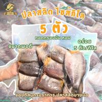 ราคา ปลาสลิดแดดเดียว 5 ตัว/1กิโล (มีไข่/ไม่มีไข่) (41454685245)