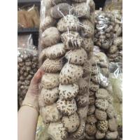 ราคา สดใหม่เห็ดหอม ดอกขาวญี่ปุ่นAAAAA6 ถุงใหญ่ 1กิโลกรัม（日本白花菇AAAAA6）1kg，เห็ดดอกไม้อุดมไปด้วยวิตามินดี แร่ธาตุ และกรดอะมิ (22314037248)