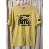 ราคา เสื้อยืดมือสอง แบรน GILDAN DryBlend แท้ % (17816124578)