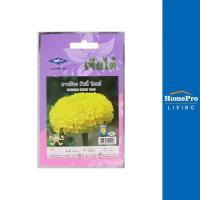 ราคา เจียไต๋ เมล็ดพันธุ์ดอกดาวเรืองฮันนี่โกลด์ ตรา จัดส่งโดย HomePro (20288943741)