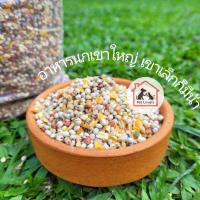 ราคา อาหารนกเขาใหญ่ อาหารนก ขนมนก นกเขาชวา นกเขาแขก นกอื่นๆ เกรดพรีเมี่ยม bird food แบบแบ่งขาย (1kg) (20471208291)