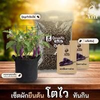 ราคา ชุดปลูกมะเขือยาวสีม่วง เชตผักยืนต้น3 พร้อมเมล็ดพันธุ์ออร์แกนิคปลูกผักเอง สวนผัก ปุ๋ยมูลวัวอัดเม็ด กระถางปลูกผัก (49006656647)