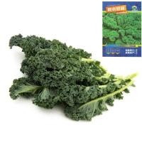 ราคา เมล็ดเคลใบหงิก100เมล็ด สายพันธุ์ฮอลแลนด์ Vate Blue Curled Kale (9715376516)