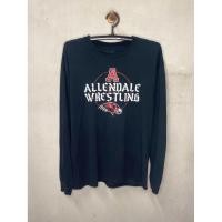 ราคา เสื้อแขนยาว Gildan DryBlend – Allendale Wrestling 2017 (ไซส์ L) (43166083447)