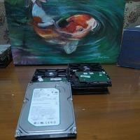 ราคา HDD ex PC 160,250,120,500 GB ถอด / วินเทจ (42106380997)