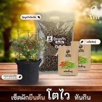 ราคา ชุดปลูกพริกขี้หนู เชตผักยืนต้น4 พร้อมเมล็ดพันธุ์ออร์แกนิค ปลูกผักเอง สวนผัก ปุ๋ยมูลวัวอัดเม็ด กระถางปลูกผัก (57156641373)