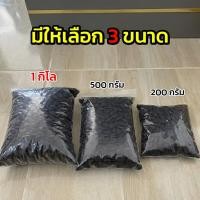 ราคา เม็ดเหรียงสำหรับเพาะ เม็ดเหรียงป่า เม็ดสวยๆ พร้อมส่ง (51906340865)