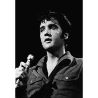 ราคา โปสเตอร์ Elvis Presley เอลวิส เพรสลีย์ Rock and Roll Music Poster ภาพถ่าย รูปภาพติดห้อง ตกแต่งผนัง โปสเตอร์วงดนตรี (8187316350)