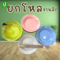 ราคา จานลึก จานพลาสติก 8นิ้ว และ 9 นิ้ว ยกโหล 12 ใบ (49606951491)