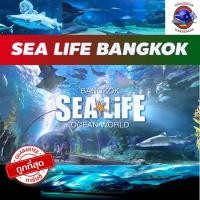 ราคา ราคาถูกสุด บัตร Sea Life Bankok Ocean World บัตรเข้าชม สยามพารากอน (ส่งด่วนหน้างาน) (43806665516)
